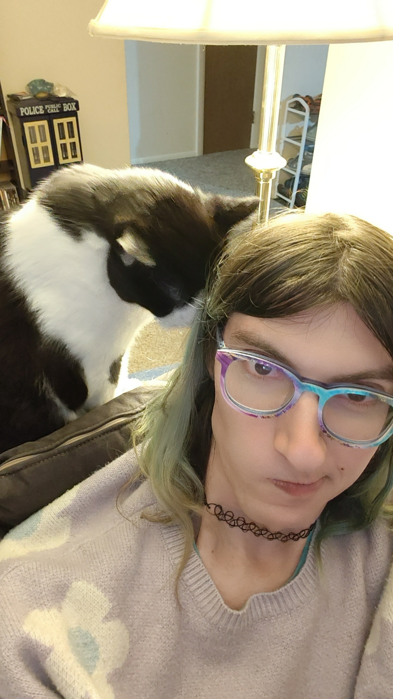 A black and white cat nuzzling a white girl with glasses.
