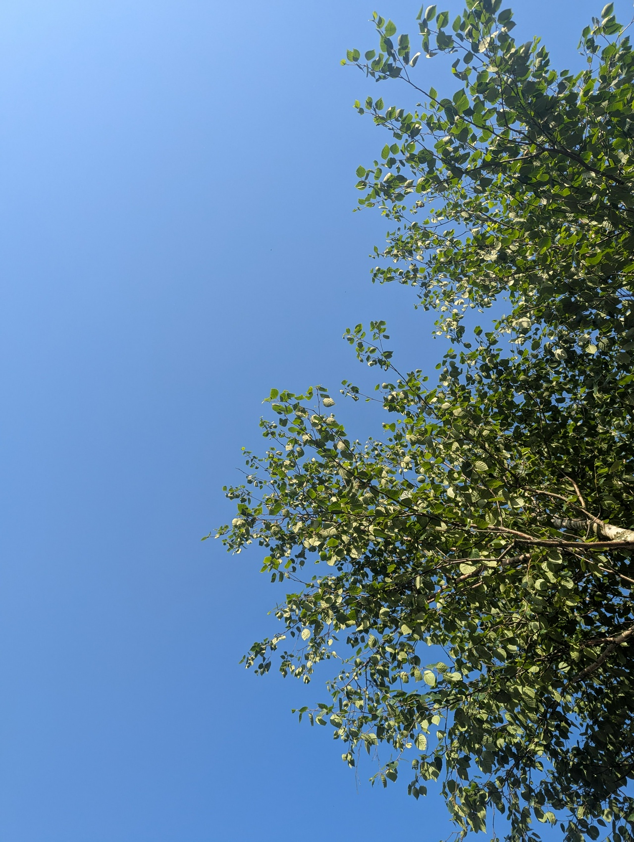 Lying down on a bench as my back was hurting.