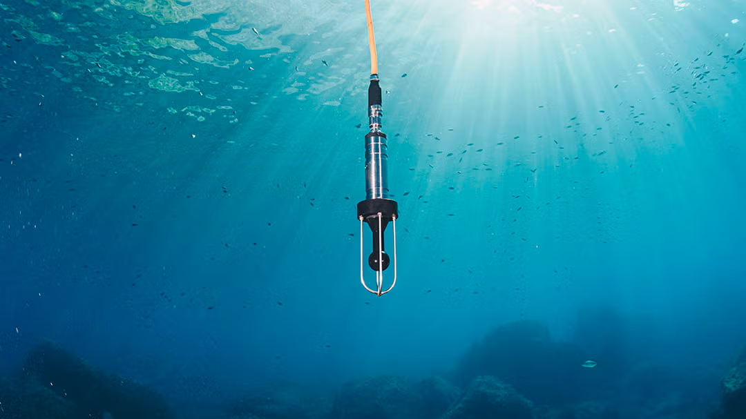 hydrophone