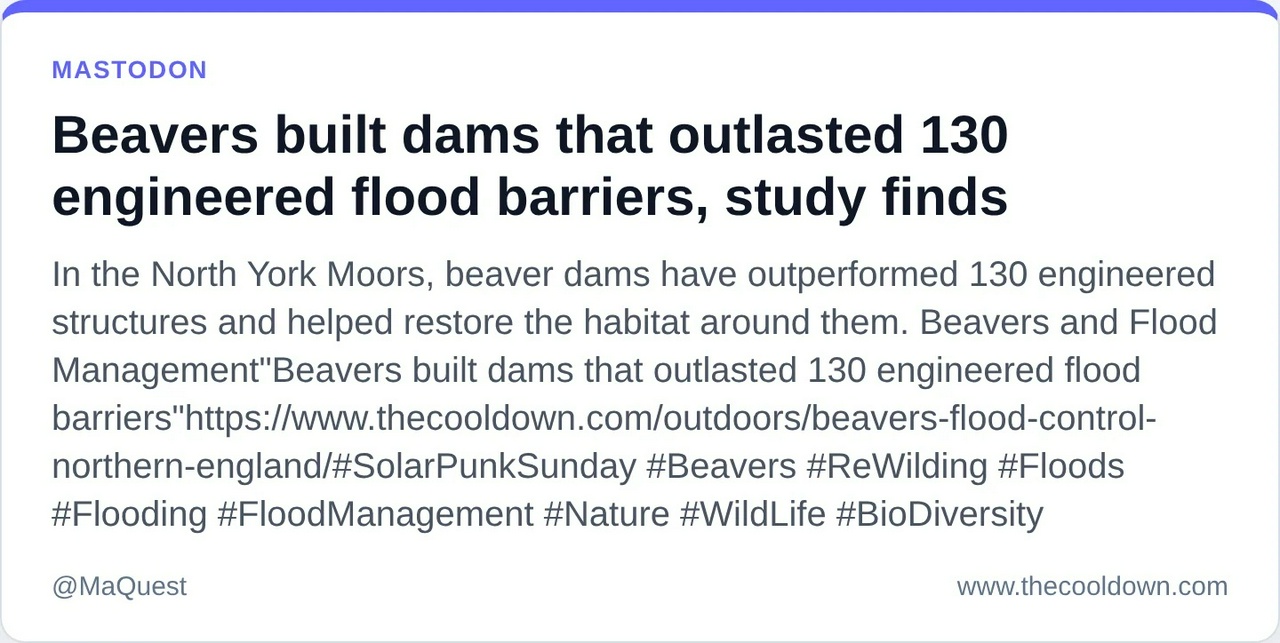 Beavers built dams that outlasted 130 engineered flood barriers, study finds