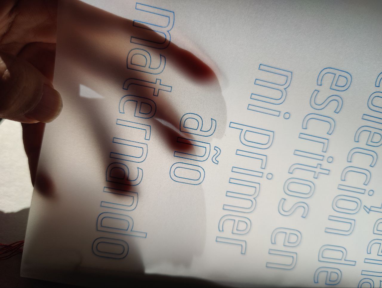 contraportada a contraluz