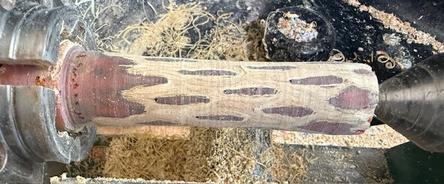 Cholla and resin blank, rough turned to a handle shape