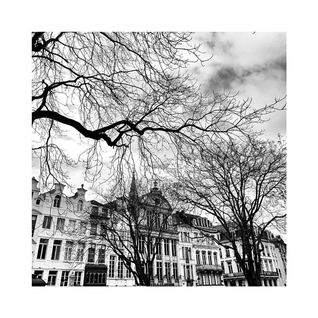 Brussels