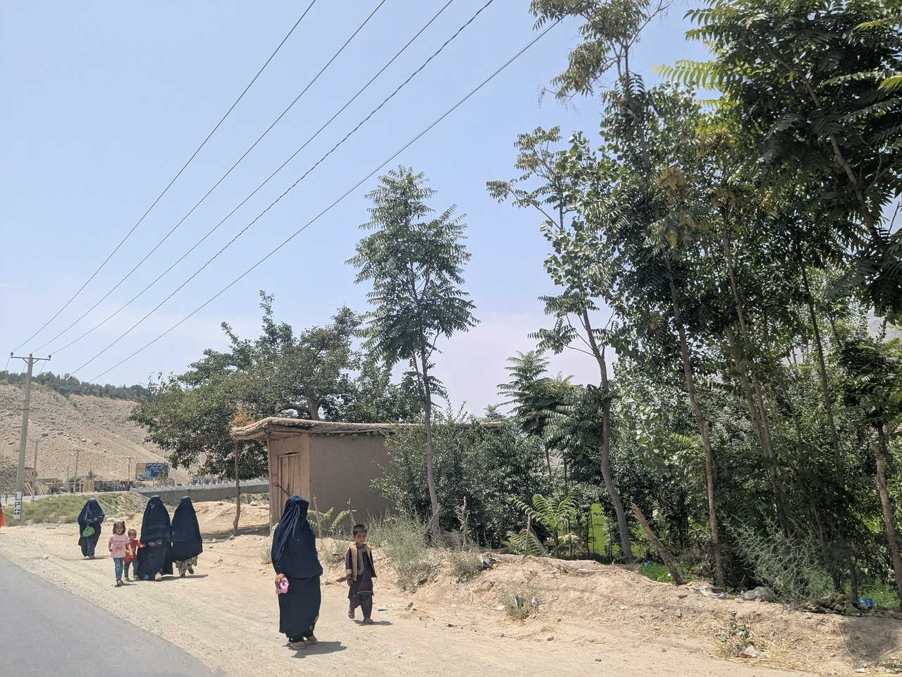 Burkas