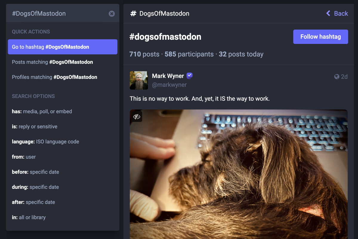 The Mastodon search UI, showing the query ‘#DogsOfMastodon’ populated in the search input. Below it are three quick actions: ‘go to the hashtag #DogsOfMastodon,’ ‘posts matching #DogsOfMastodon,’ and ‘profiles matching #DogsOfMastodon,’ with the first option highlighted. The search results show the beginning of a scrollable column of posts matching the hashtag. It’s preceded by some respective metadata and a button with the label ‘follow hashtag.’