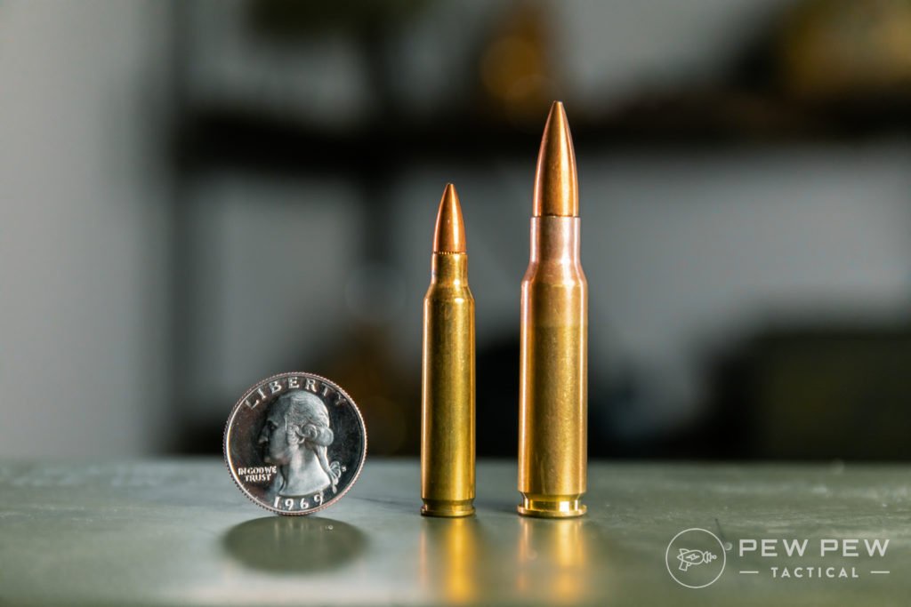 .223 vs .308