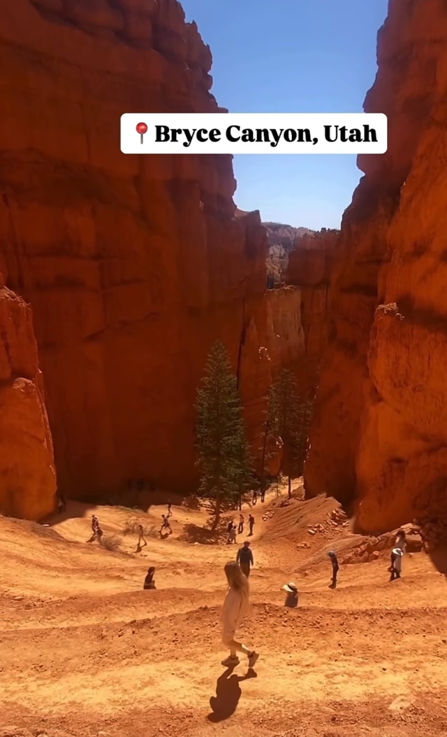 Bryce