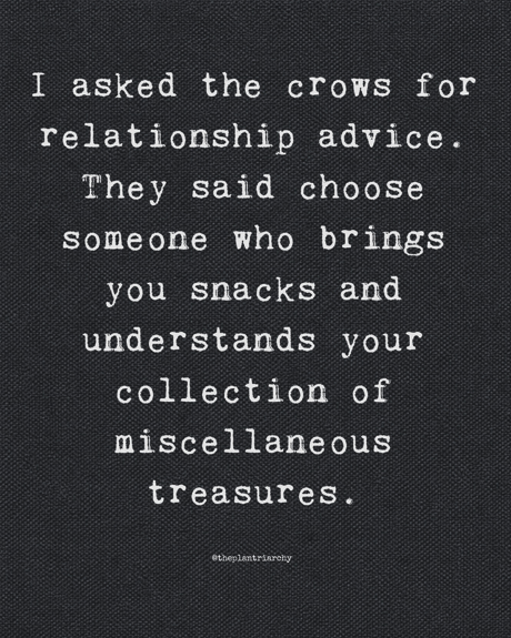 Crows