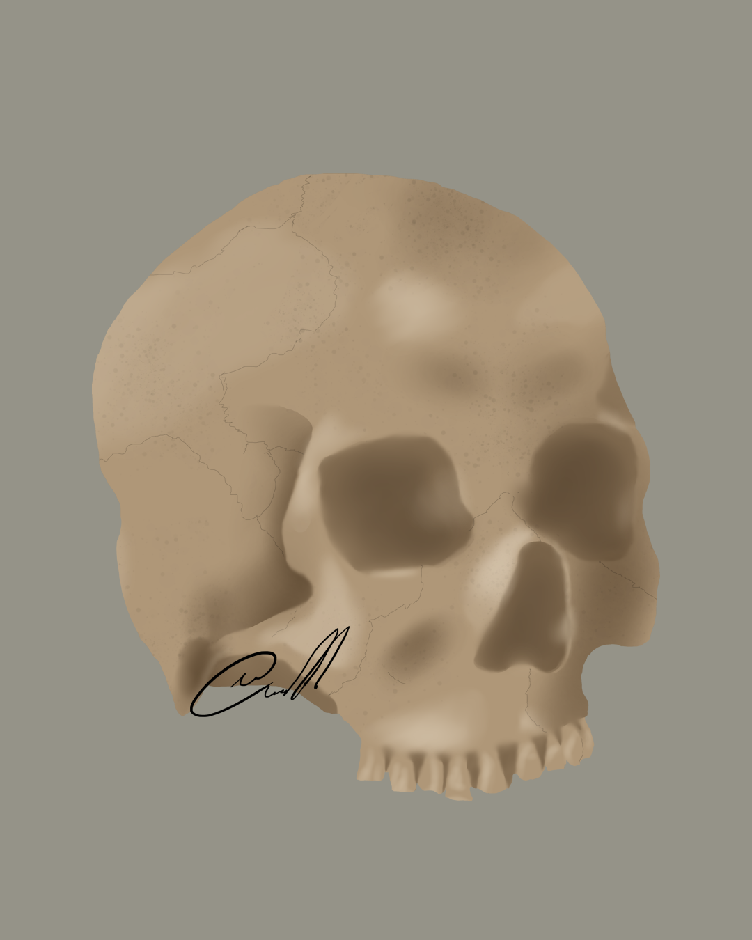 A digital drawing of a skull.