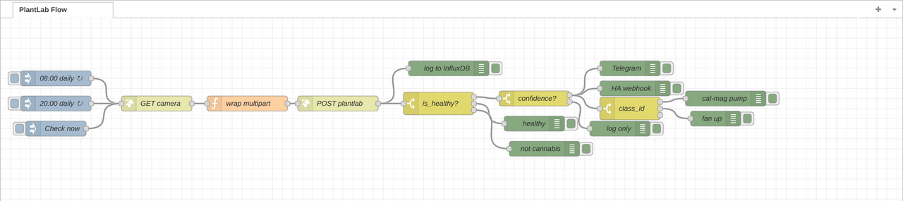 Complete Node-RED flow: three triggers fan into GET camera, wrap multipart, POST plantlab, then is_healthy switch routes to confidence, healthy, and not-cannabis branches; confidence routes further into Telegram, HA webhook, class_id switch for cal-mag pump and fan up, plus log-only