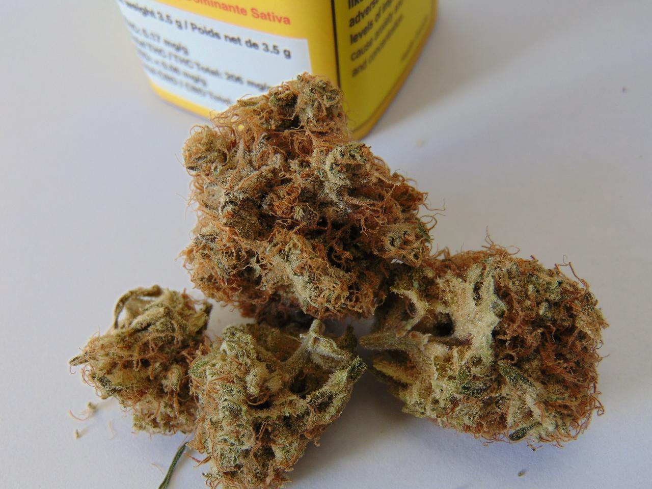 ogen-lz-buds-1