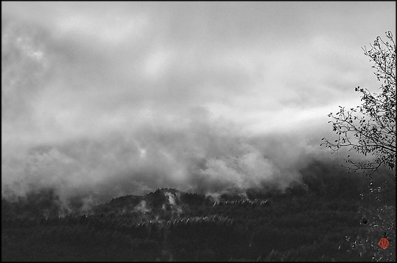 Un paysage de montagnes sous un ciel tourmenté fortement contrasté. Les nuages affleurent les sommets tels des écharpes de gaze déchirées. À droite de l'image les branches dénudées d'un arbre proche. On voit les sommets des lignes de sapins éclairés par un rayon de soleil.