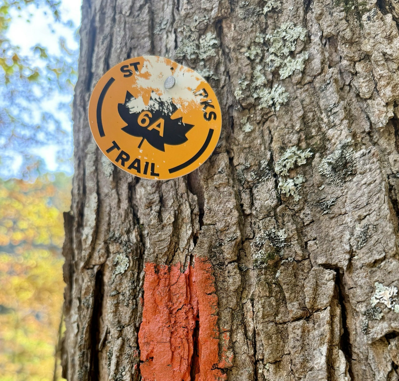 State Parks trail marker sign on tree trunk with orange blaze marking hiking path.