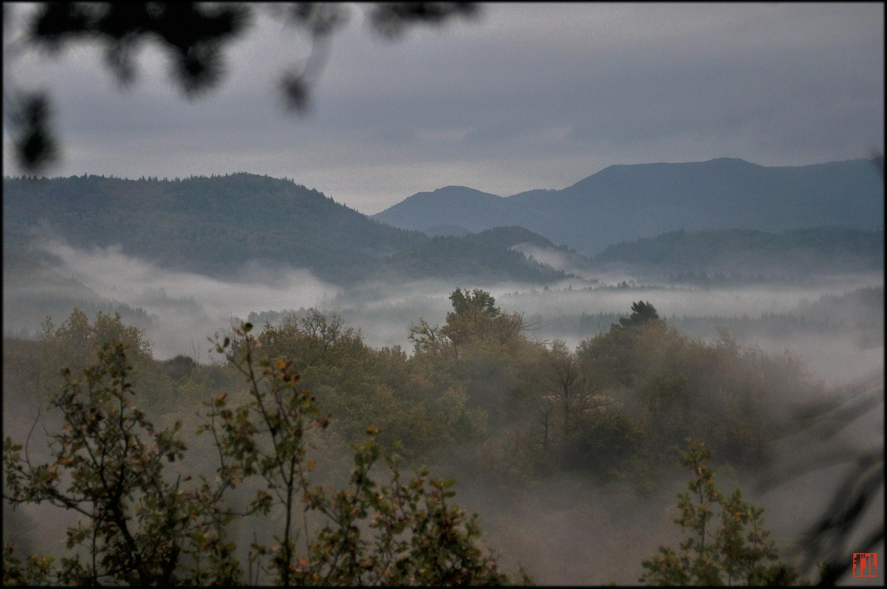 Paysage de montagne à plusieurs plans étagés.
De l'avant vers l'arrière:
Premier plan les sommet d'arbres aux feuilles fanées. En haut à gauche quelques boules d'épines de pin.
Plan suivant une nappe de brume sombre
Plan suivant le sommet d'arbres aux feuilles brun-jaune
Plan suivant plusieurs nappes de brume plus lumineuse
Sur trois plans dans les lointains
montagnes couvertes de végétation sombre, de plus en plus claires et diffuses à mesure de l'éloignement
Dernier quart, haut de l'image ciel couvert de nuages presque uniformes.