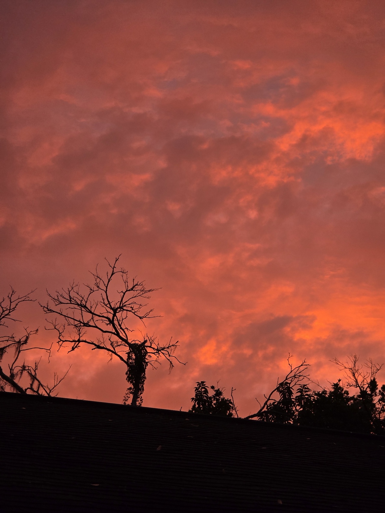 A vibrant sunrise sky in fiery shades of orange and red, with silhouettes of bare, twisted tree branches overhanging a dark roof.