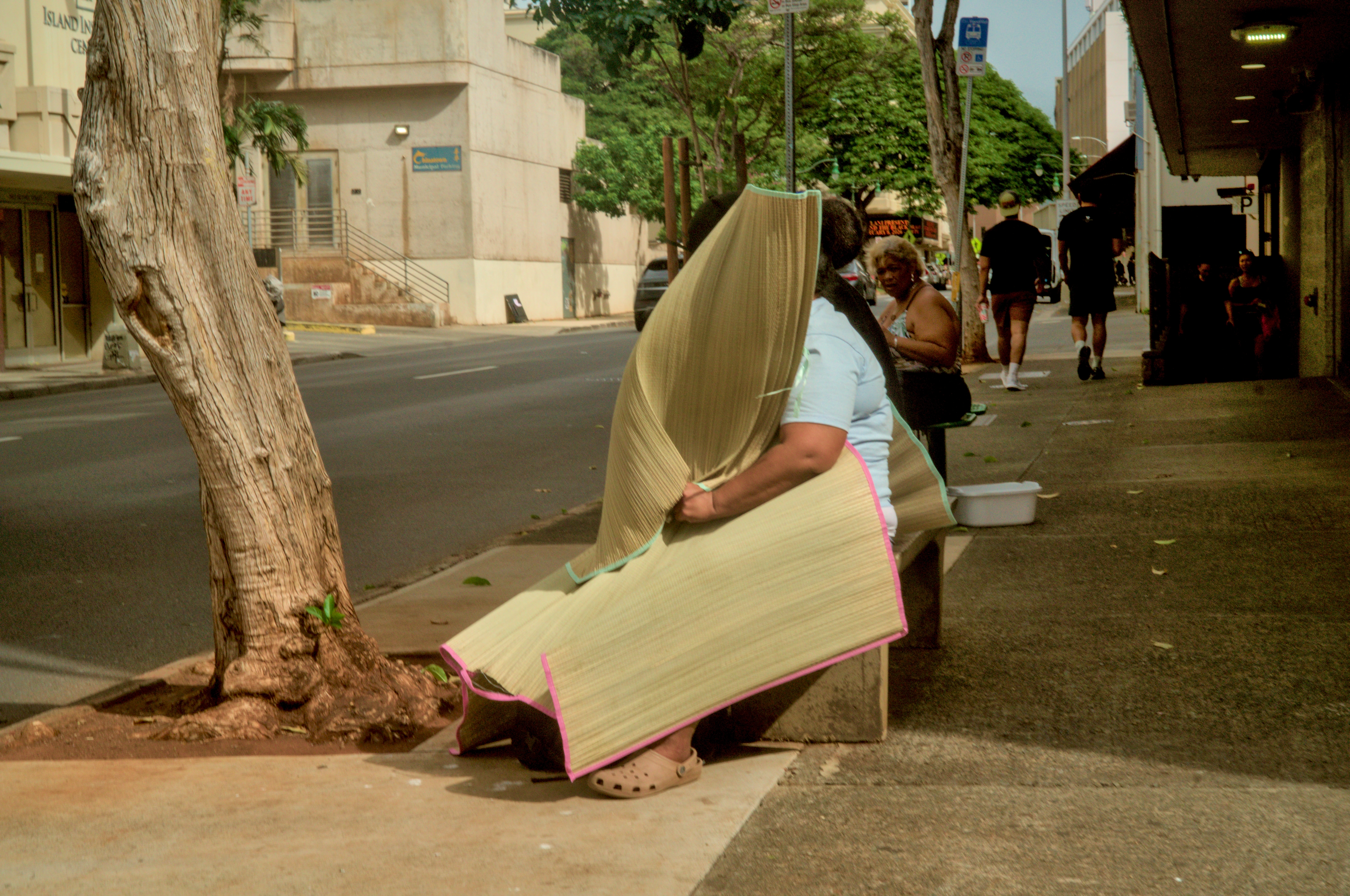 Only leaving this in to confirm my suspicion that the other photo was better.