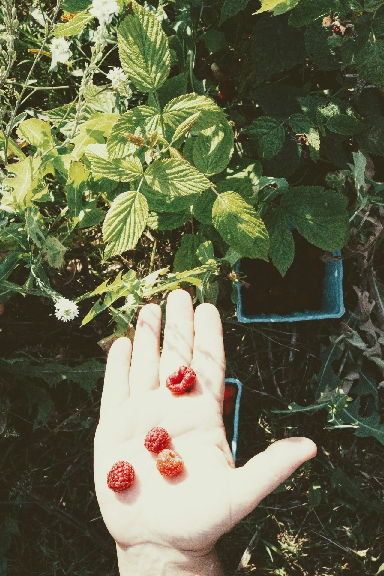 Photo by Meg Jensen for Unsplash