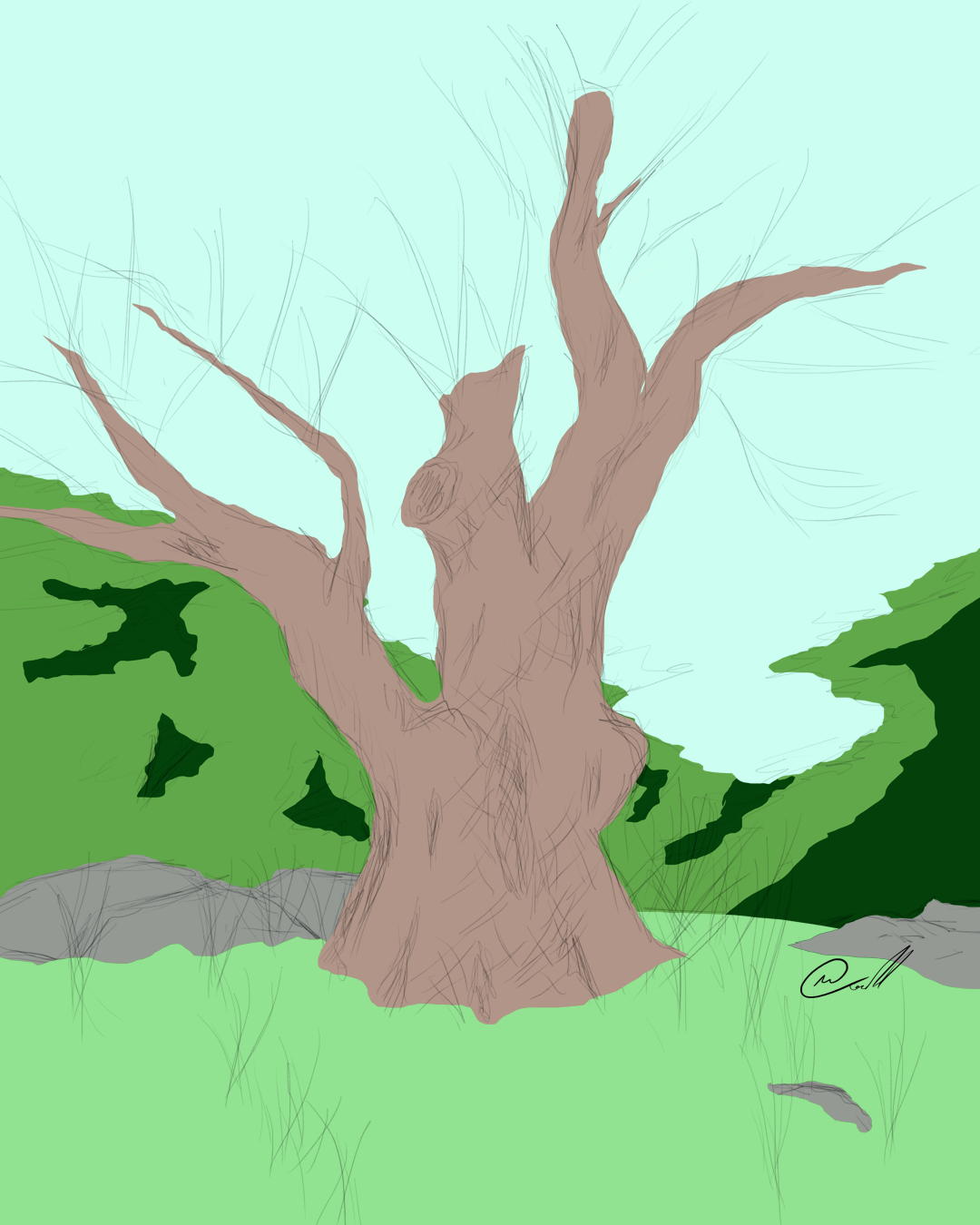 Block colours over a tree on a hill sketch. Displaying bark, rocks, forest and shadow patches.