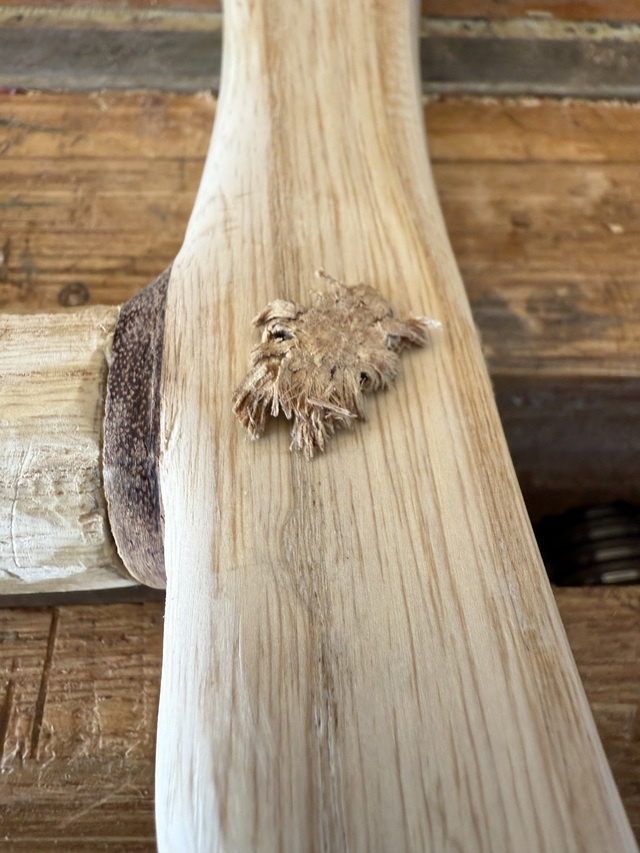 The head-end of the peg (trenail) that holds the shaft and handle together is quite seriously mushroomed - the peg was initially ¼ inch in diameter (6mm) and after pounding it through the handle and shaft, the end of it is over ½ inch (12mm)