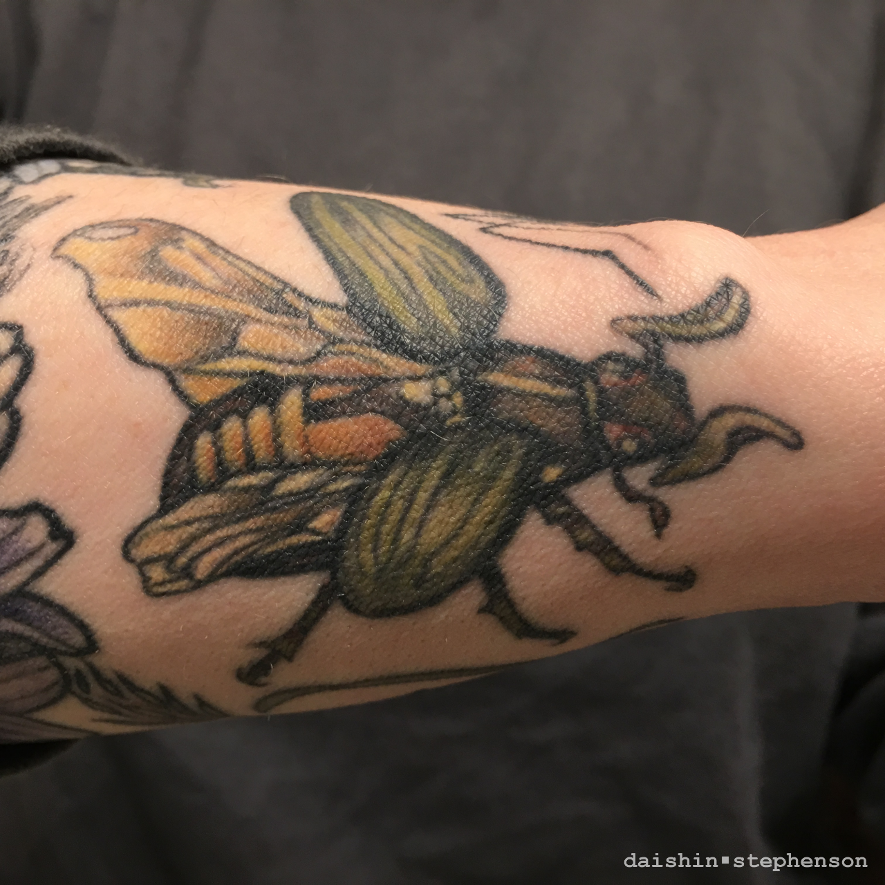 image of tattooed june bug
