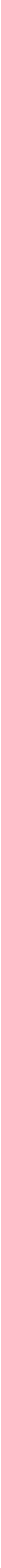 256 px