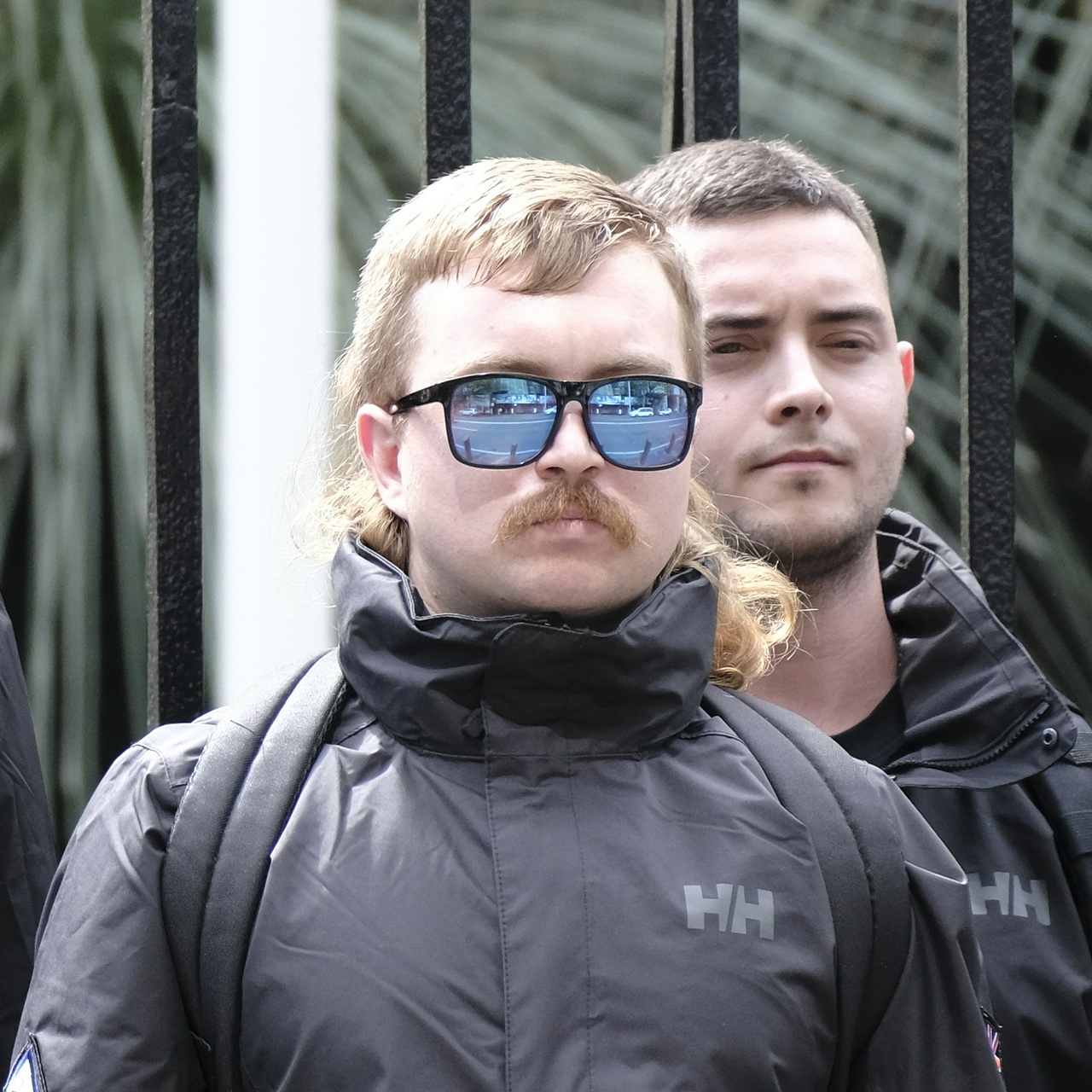 The same ginger from front-on