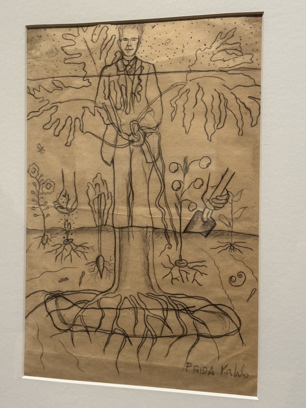 Khalo's sketch of Luther Burbank - 1931
