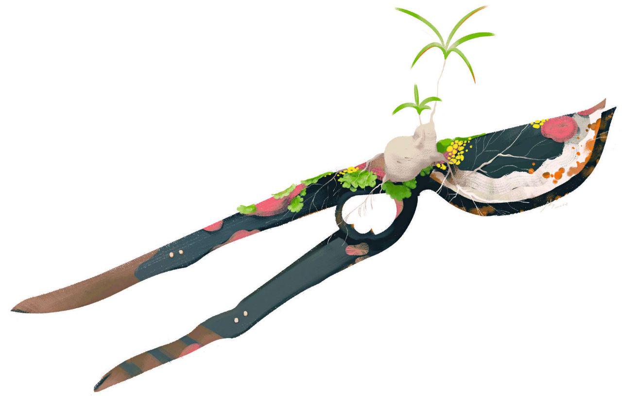 女森 / 胡可兒