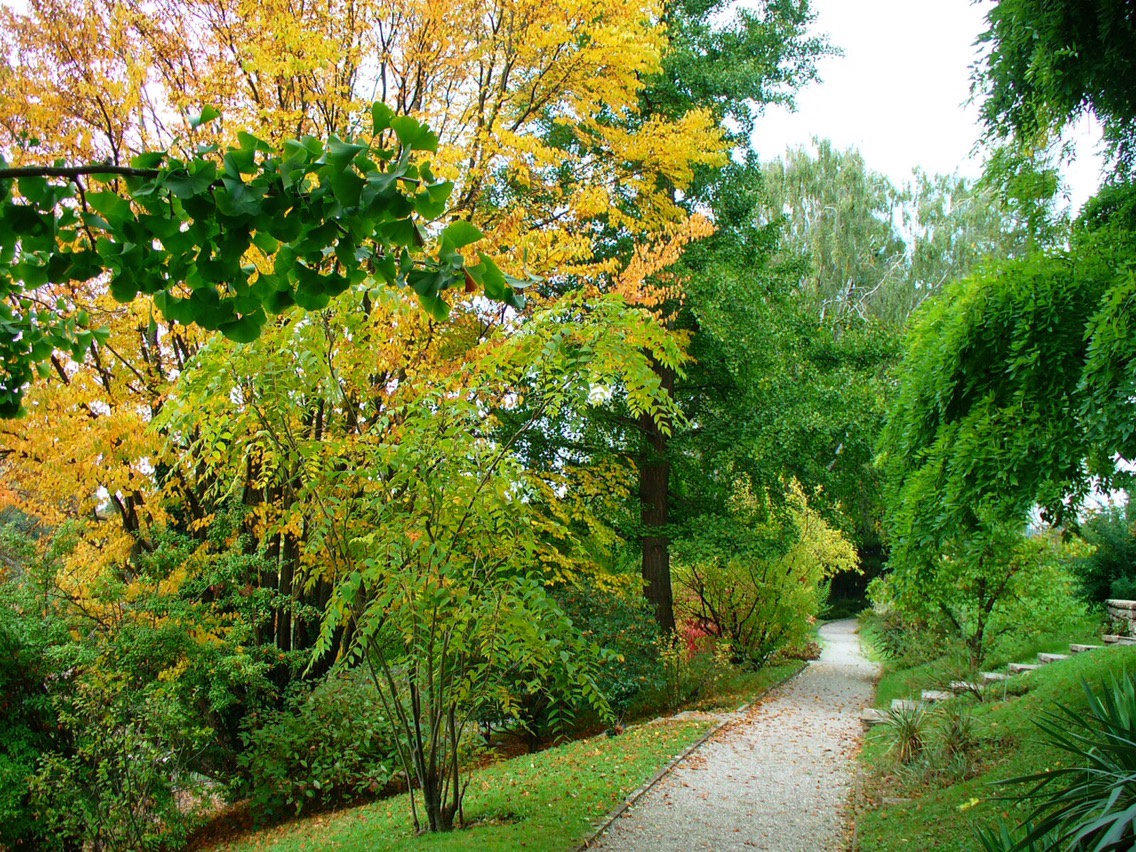 Jardin Botanique