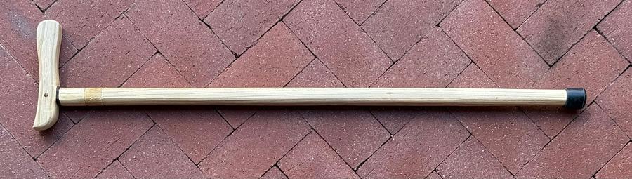 The cane, laying flat on a brick patio, the handle pointing up from the left end of the shaft