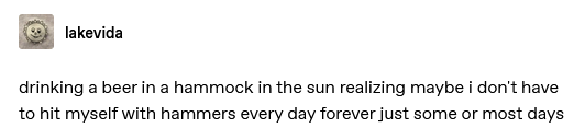 tumblr post by lakevida: drinking a beer in a hammock in the sun realizing maybe i don’t have to hit myself with hammers every day forever just some or most days