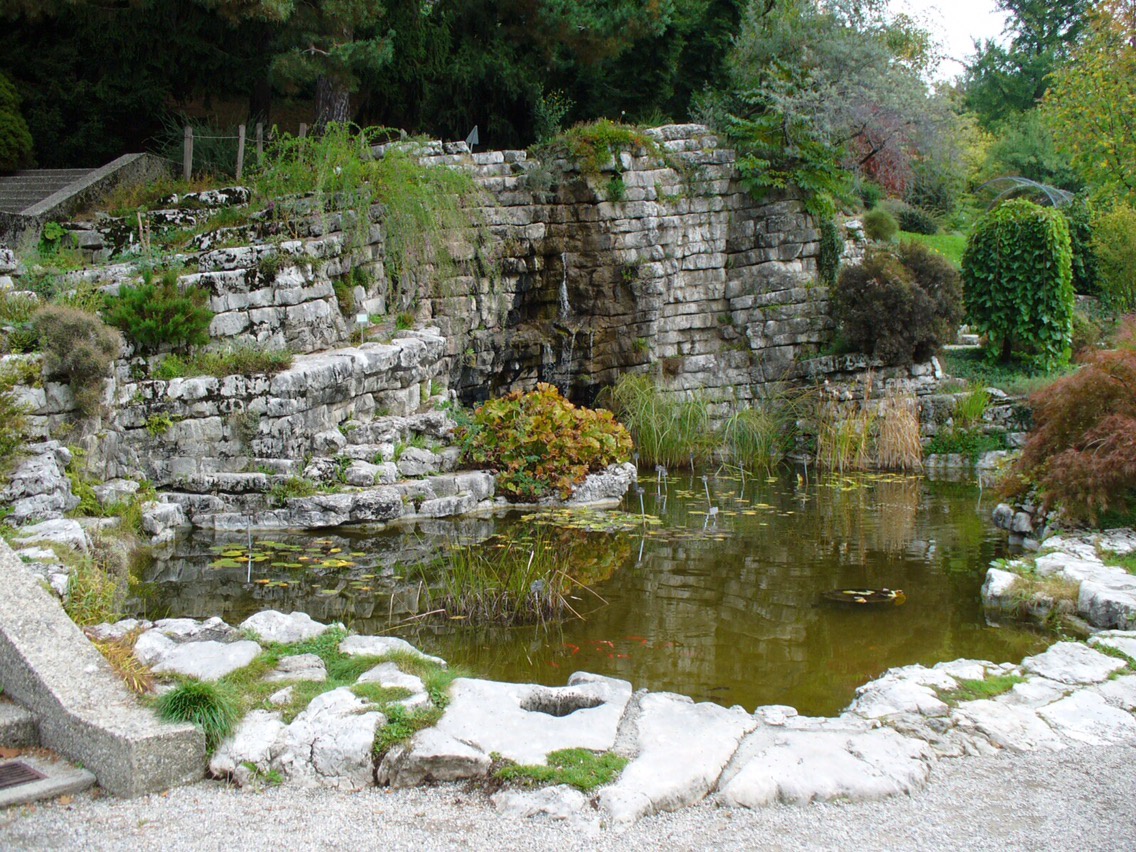 Jardin Botanique