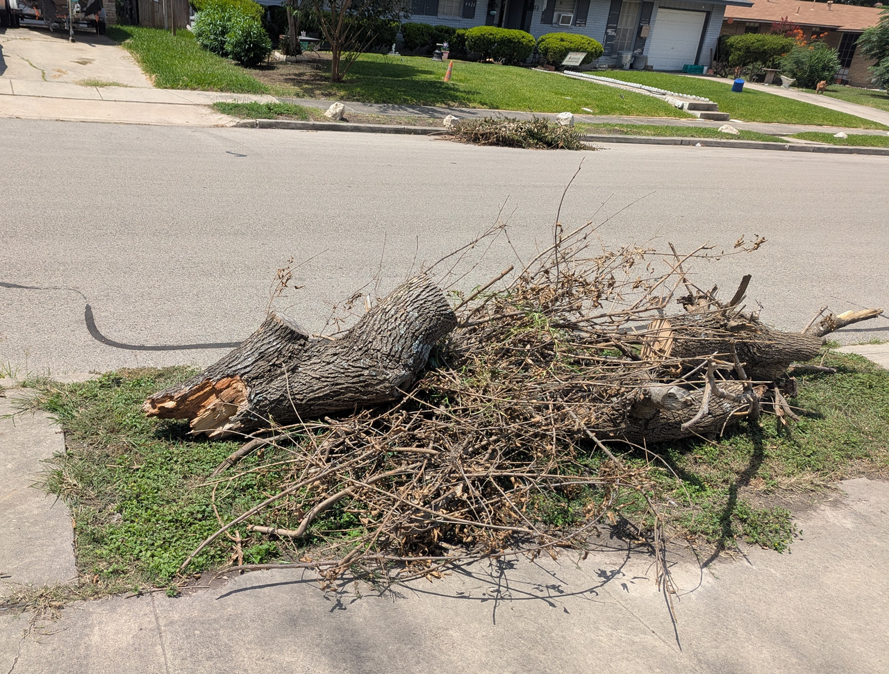my little brush pile