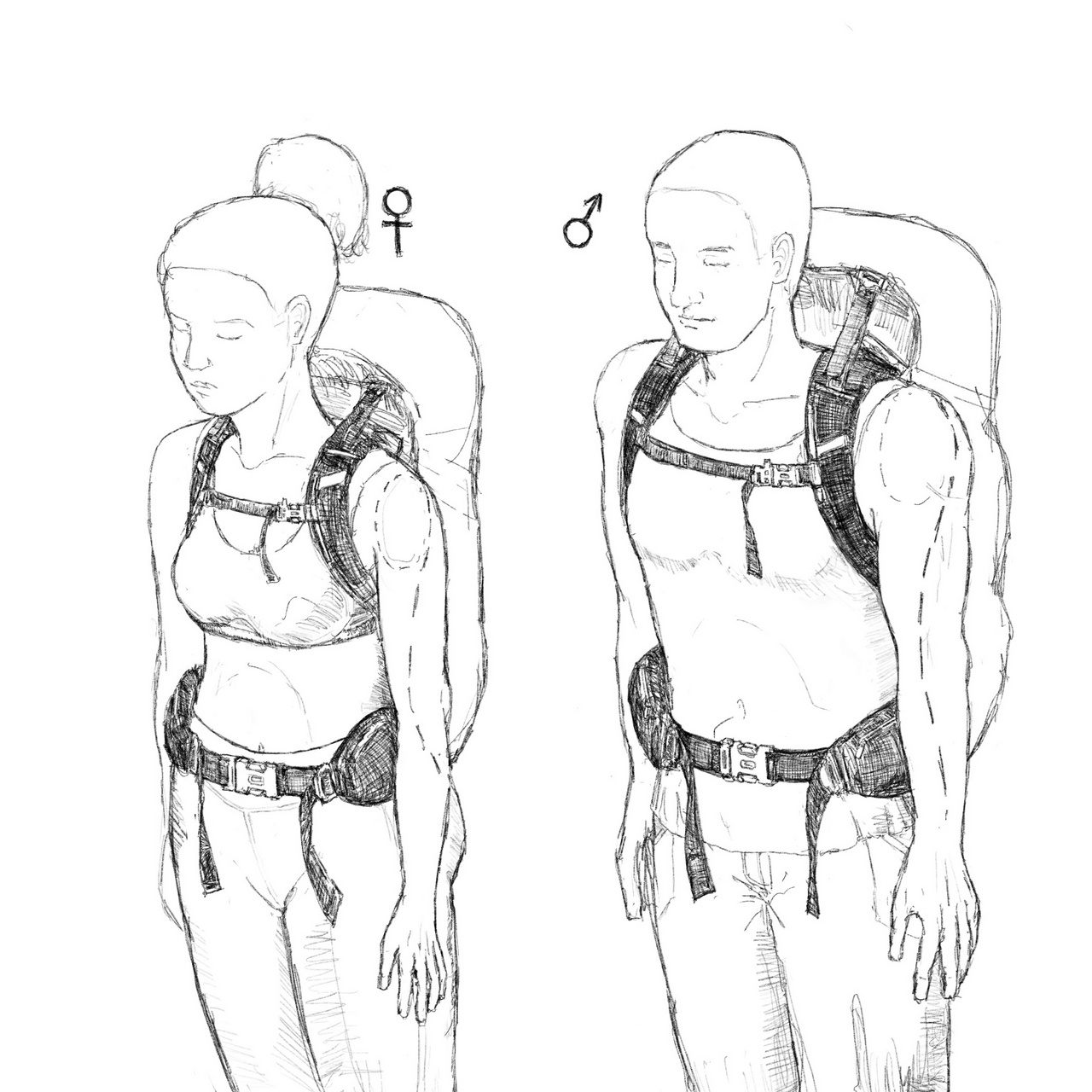 Diagram of differences between male and female fit on backpacks