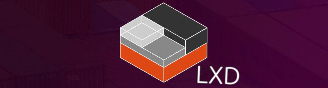 LXD Logo