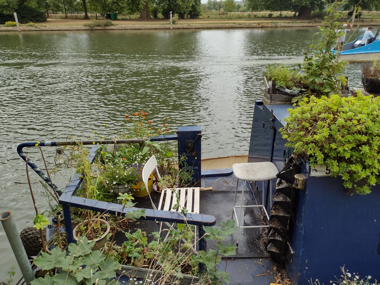 A houseboat with plants on it