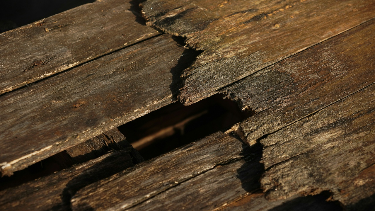 by Tomi Saptura, via Unsplash