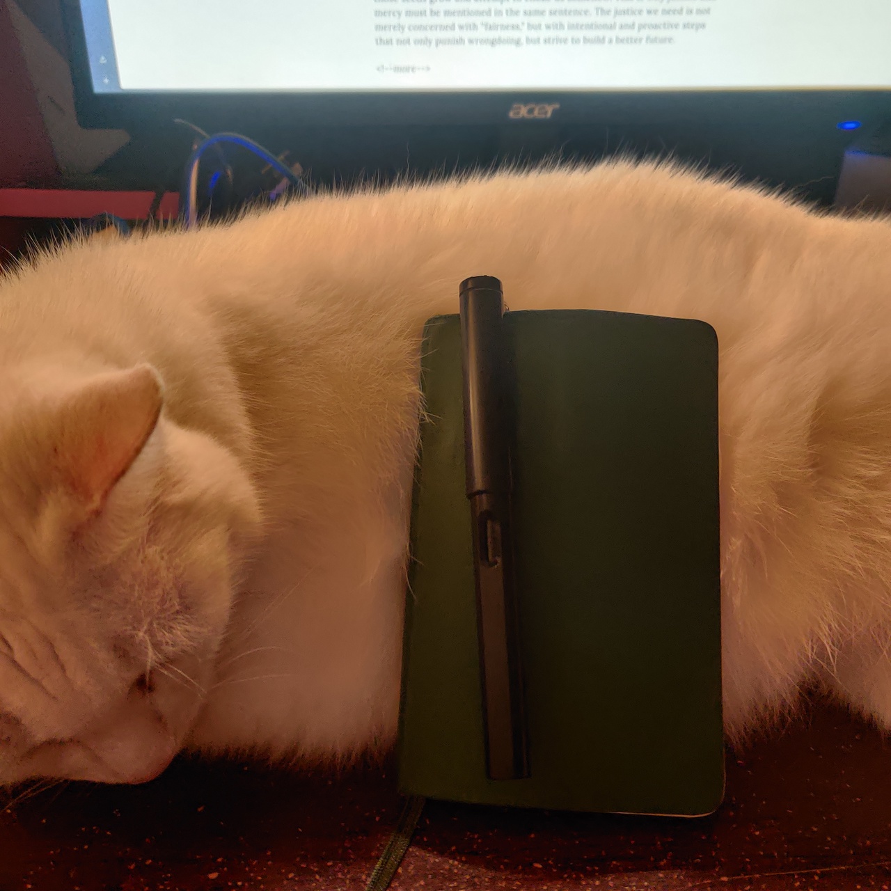 My cat invaded my desk
