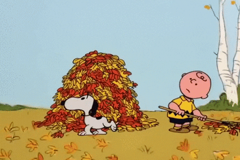 CB-snoopy leaves