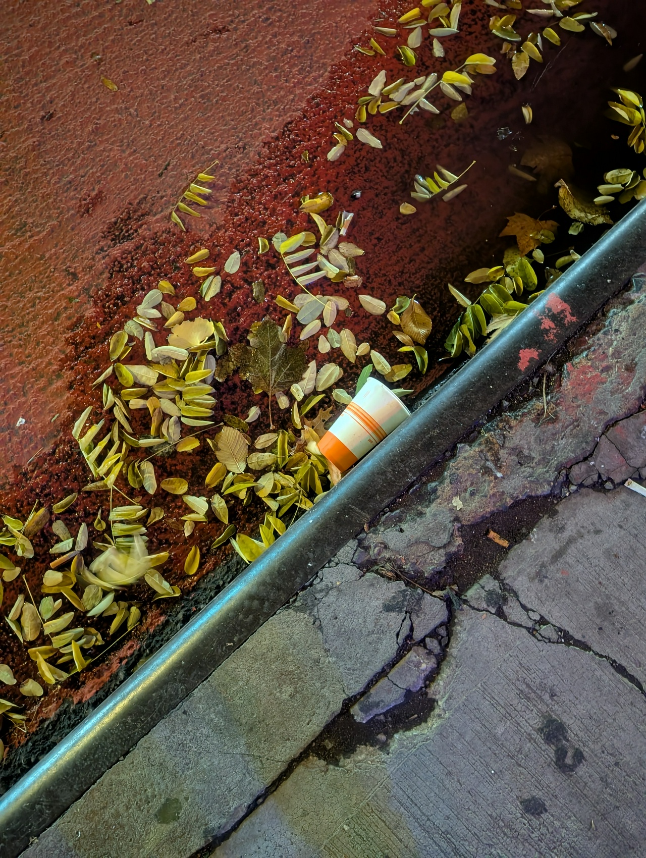 a green coffee cup nestled against the metal of a sidewalk curb, laying peacefully among small fallen leaves, themselves basking on the shore of a street puddle