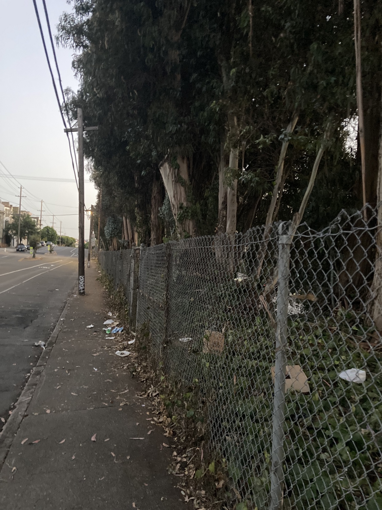 another picture of the same sidewalk