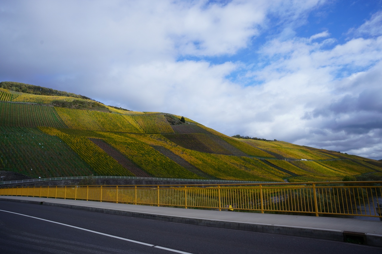 Le long de la Moselle.