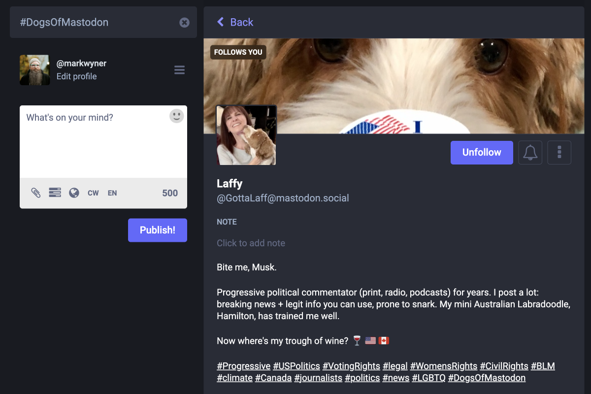 The Mastodon search UI, showing ‘#DogsOfMastodon’ populated in the search input. The main content column shows a profile for the user ‘Laffy’ who has the hashtag #DogsOfMastodon in her bio.