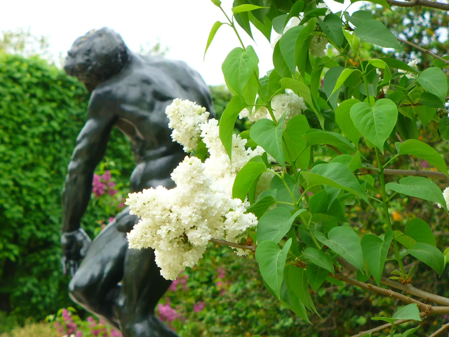 Rodin