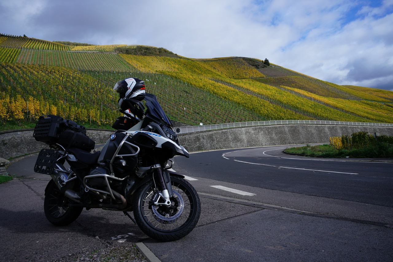 Le long de la Moselle.