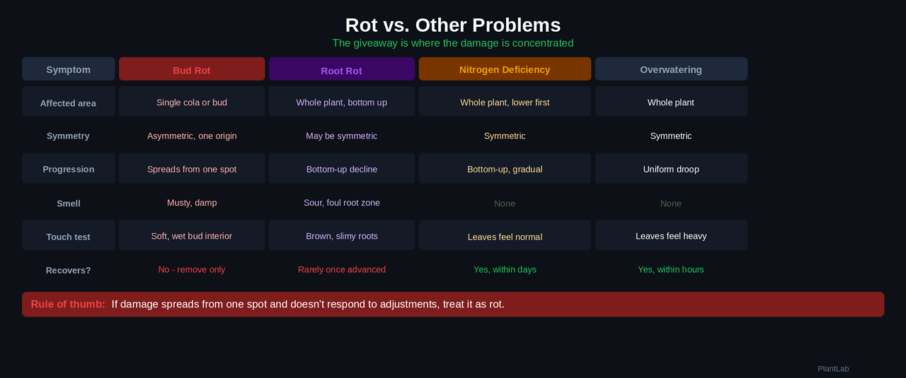 Rot vs other problems comparison chart