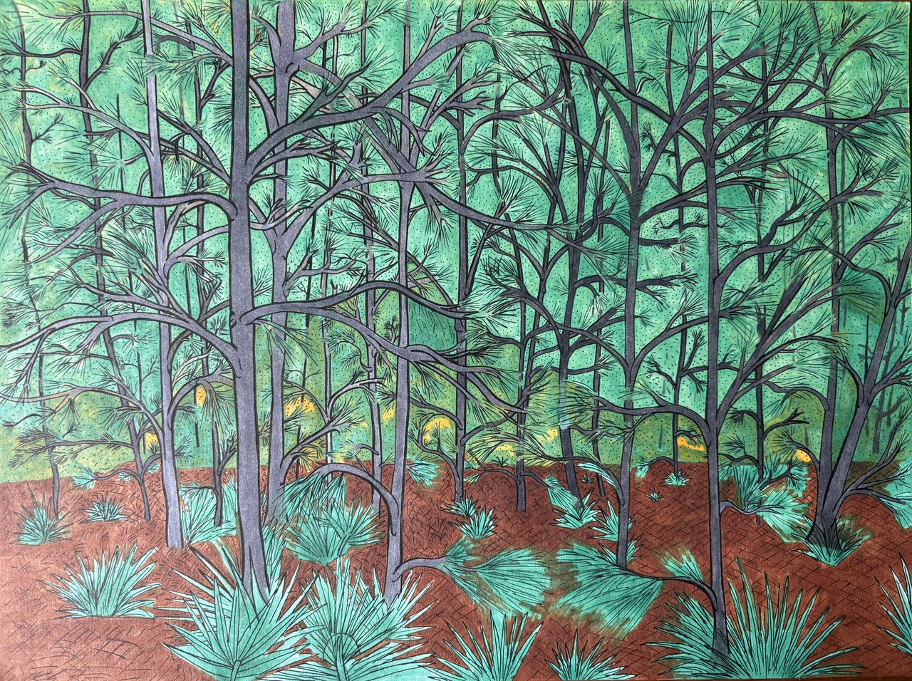 pen and ink drawing of scrub pine forest