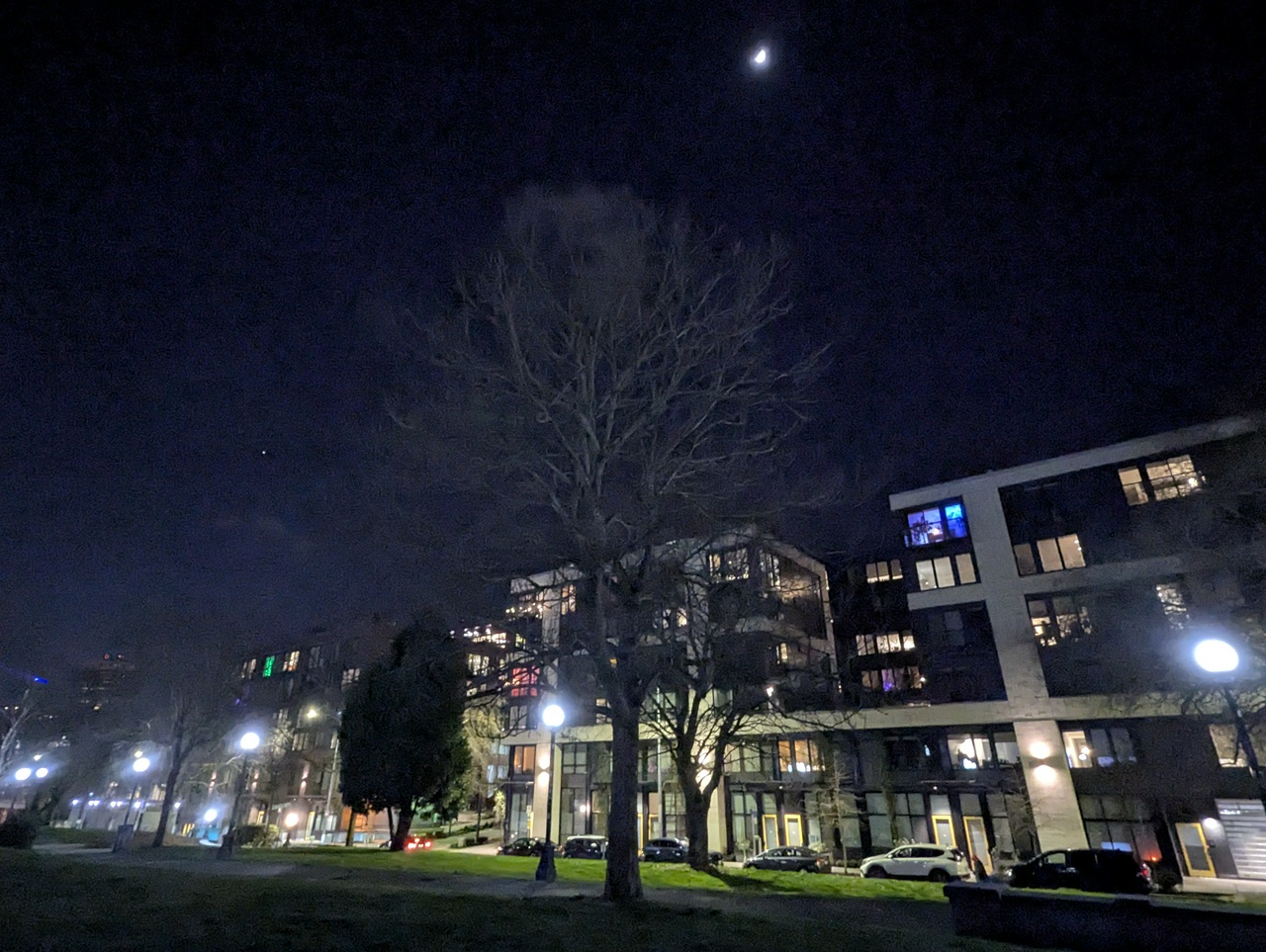 a somewhat grainy photo, taken at nighttime, of the tree where it happened. the leaf-less tree is in the center of the photo, cutting into the dark sky, and behind it is an apartment building which is lit up by street lamps. at the top of the photo, the moon is blurry but visible, shining onto the park.