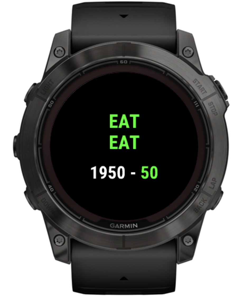 Garmin Eat Watch prototype